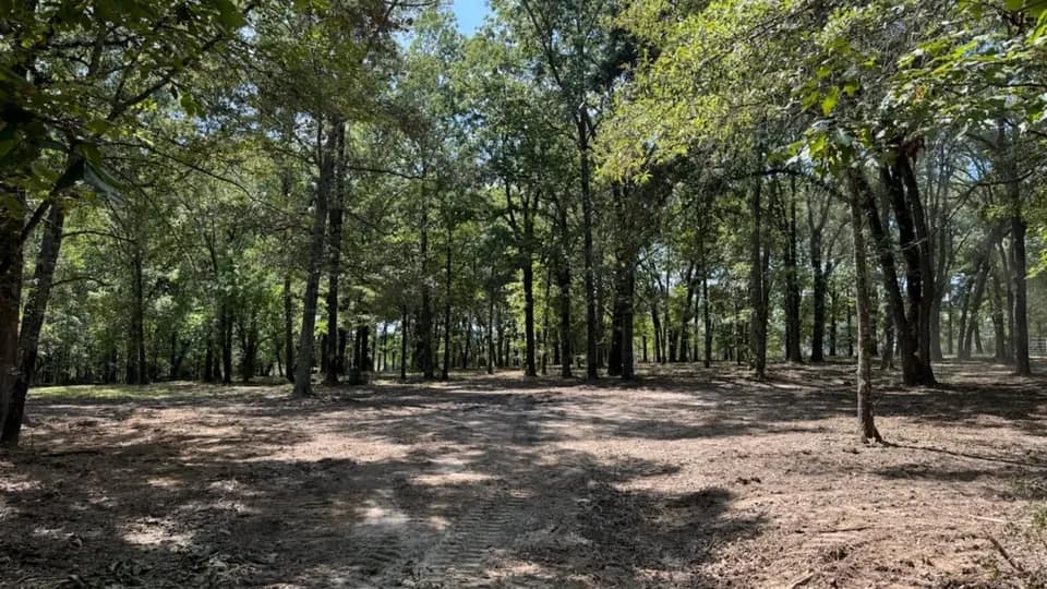 37.9 acre hunting land in Red River County, Texas
