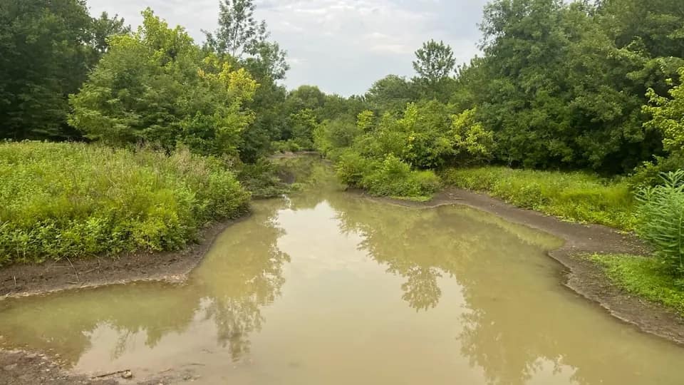 65 acre hunting land in Red River County, Texas