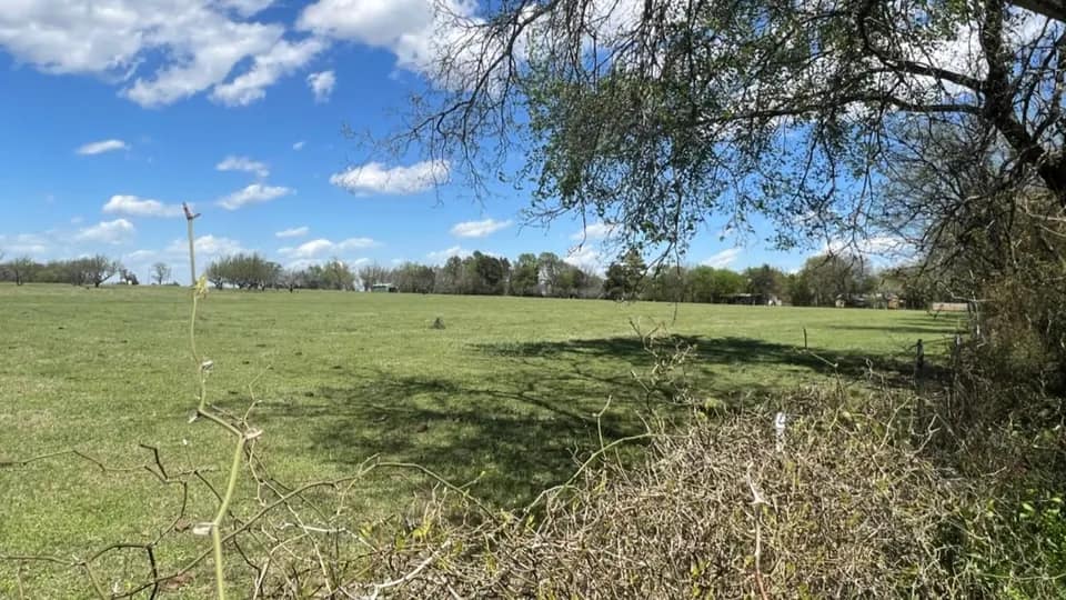 7.5 acre undeveloped land in Rains County, Texas