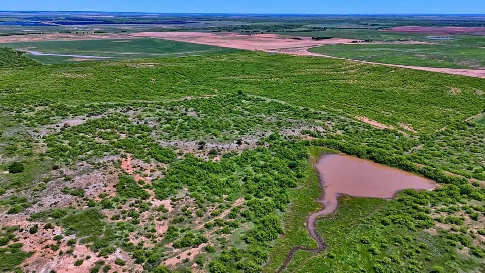 160 acre hunting land in Childress County, Texas