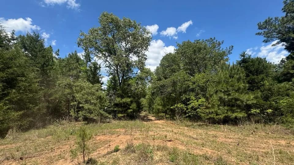 27.65 acre hunting land in Cass County, Texas