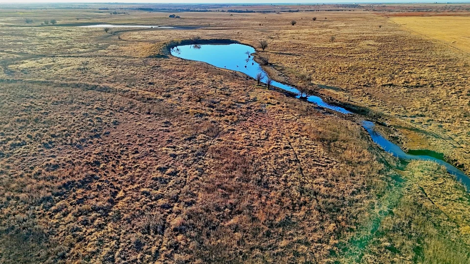 North Texas ranch land with native grass pasture, mesquite cover, creek bottoms, and stock water