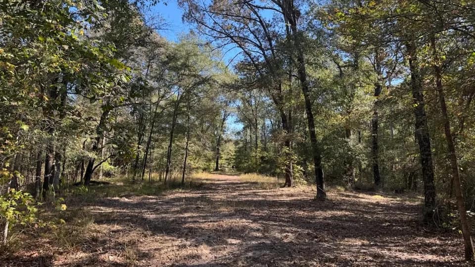 36.73 acre recreational land in Red River County, Texas