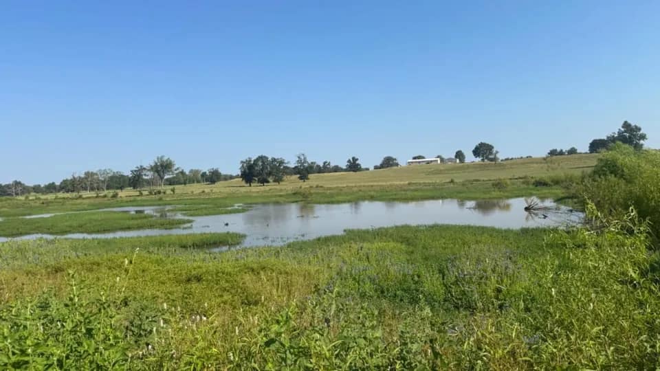 362 acre ranch in Franklin County, Texas