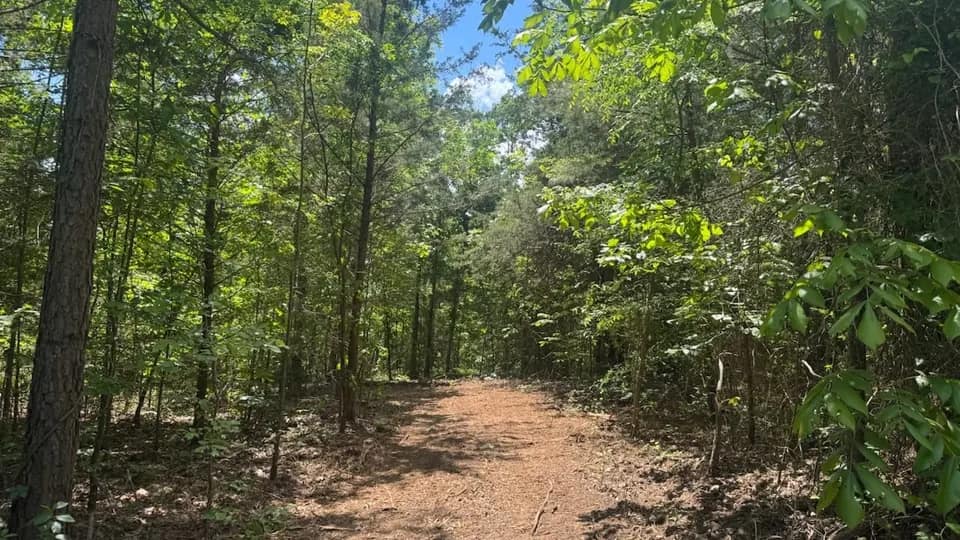 53.5 acre recreational land in Cass County, Texas