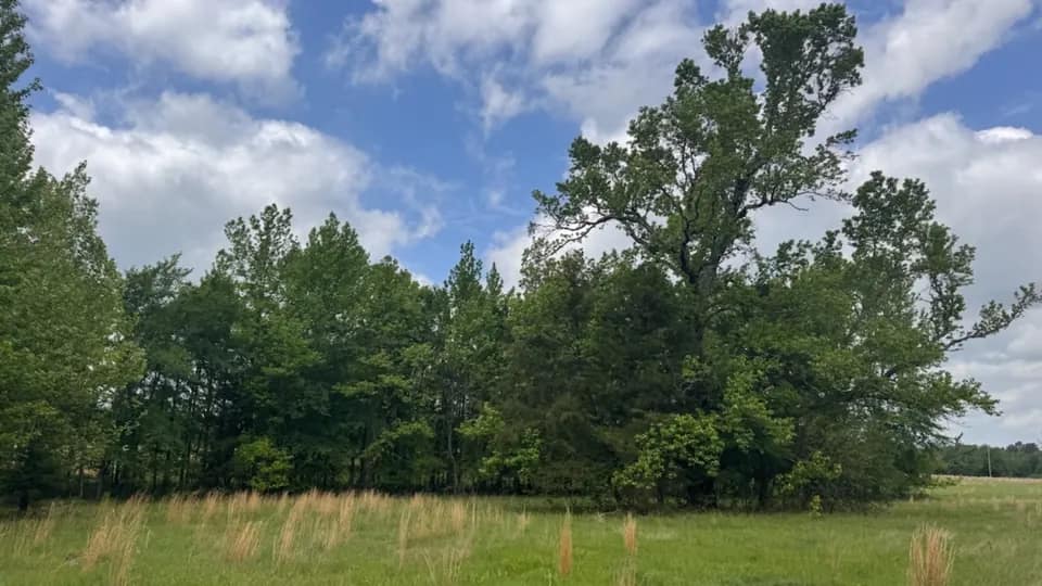 10.6 acre recreational land in Red River County, Texas