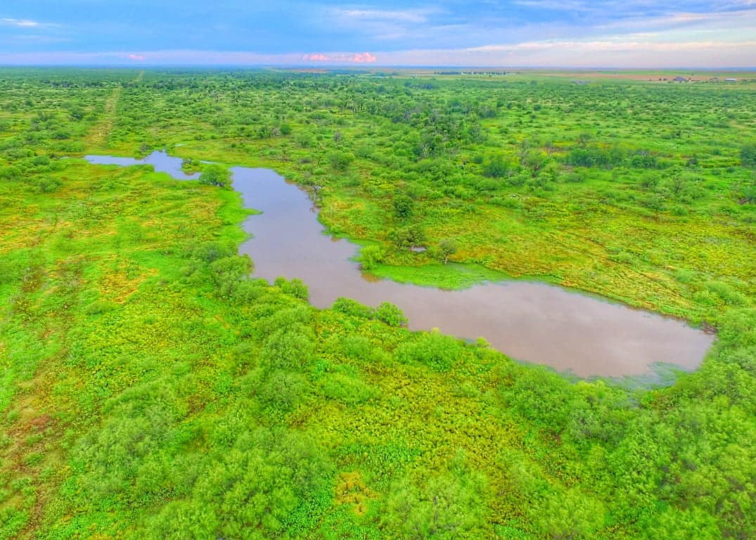 Overview of 13,994 acre farm in Wichita County, Texas
