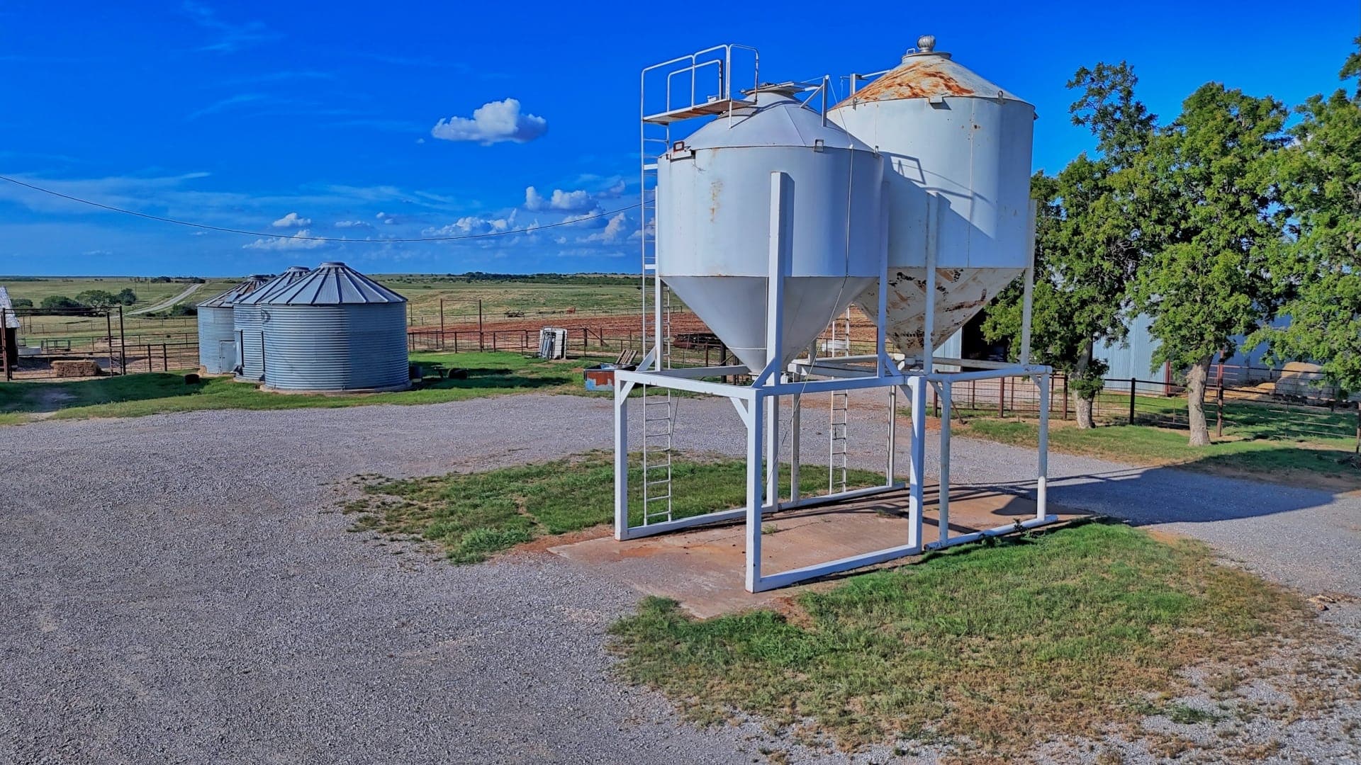 Stop Guessing: New Texas Cattle Stocking Rate Calculator Launched